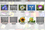 Texturen-Archiv